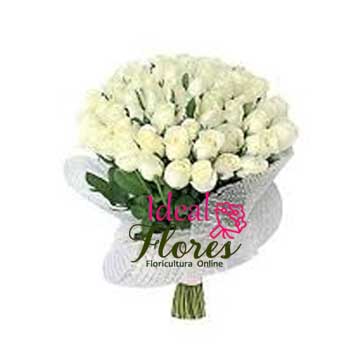 Buque Soft White
